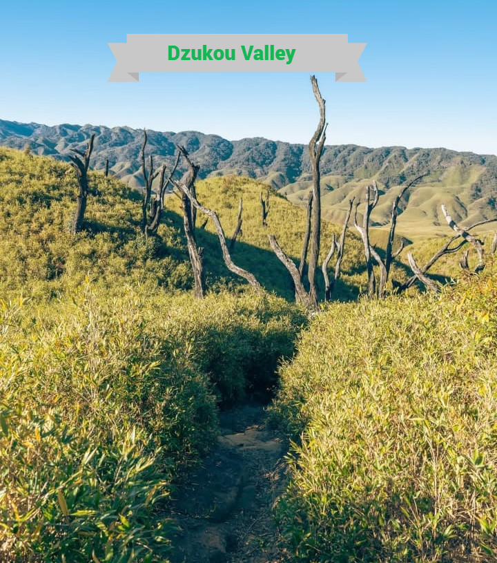 Dzukou Valley